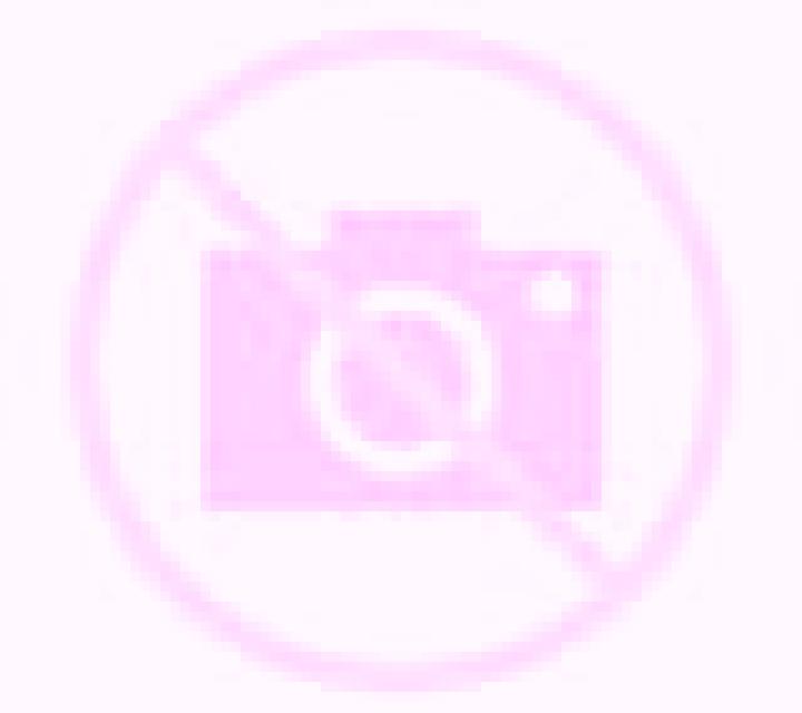 Abril 2 Tierra Amarilla escort