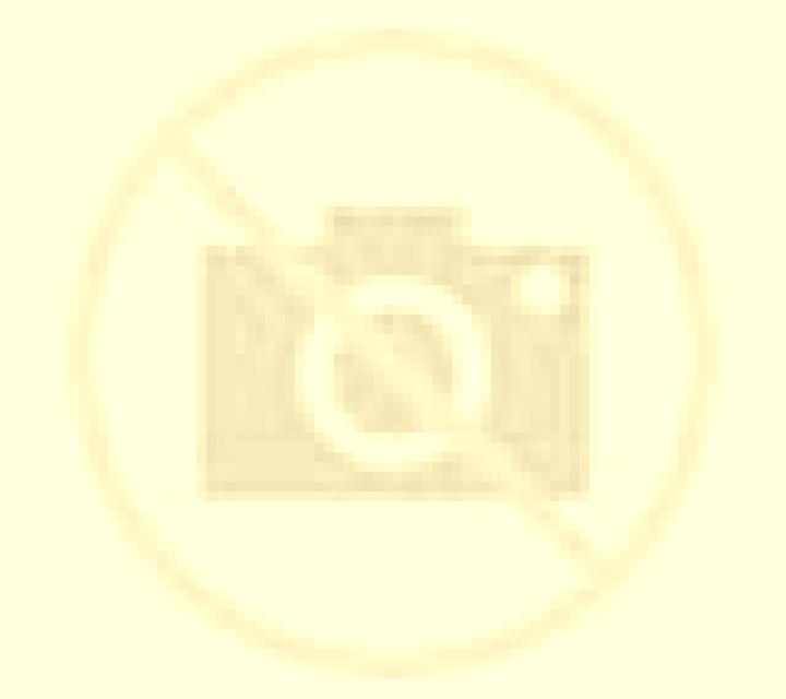 Amanda Maullin escort