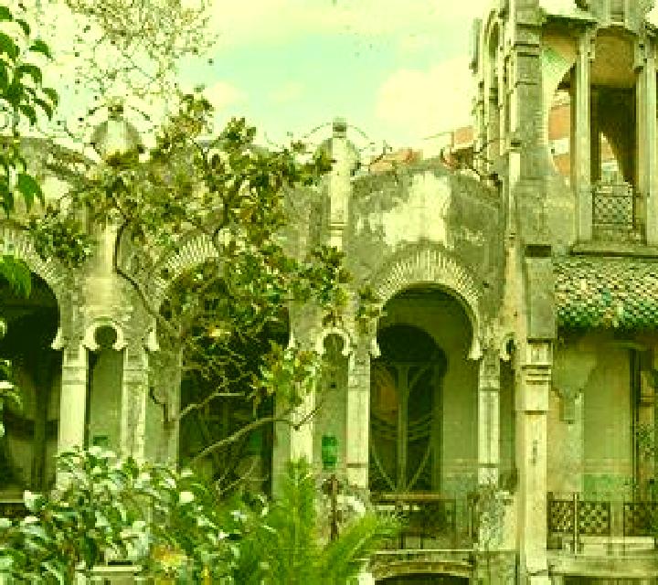 Andrea 2 San Carlos escort