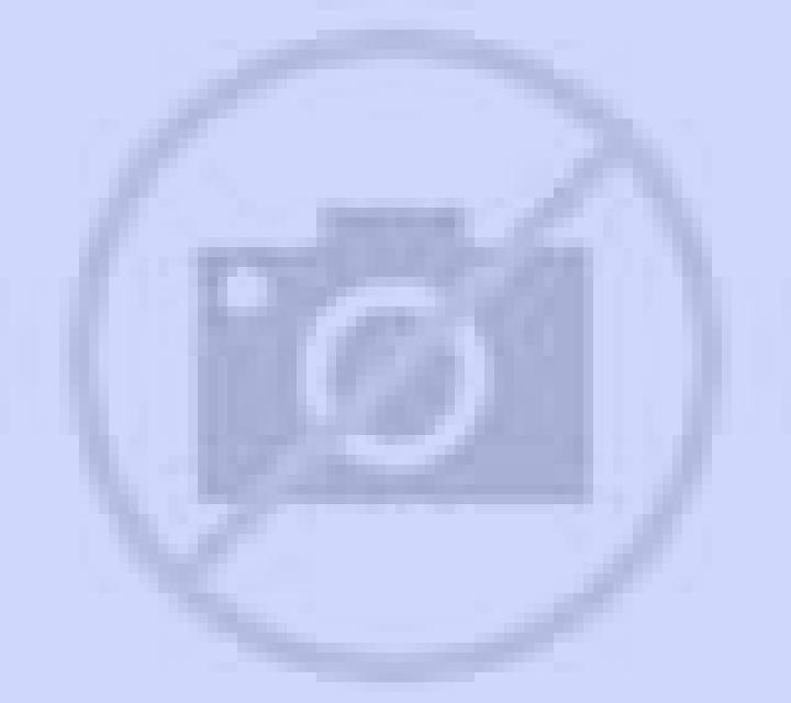 Andrea Huasco escort