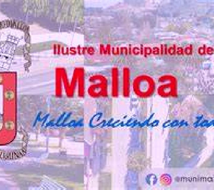Brisa 2 Rinconada de Malloa escort