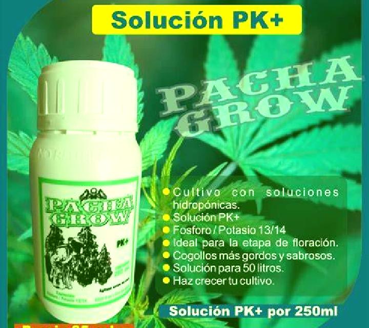 Brisa 3 Quilpue escort