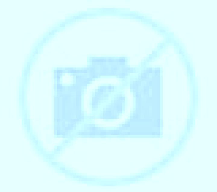 Camila 2 San Vicente escort