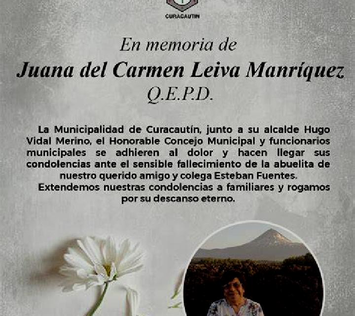 Carmen Curacautin escort