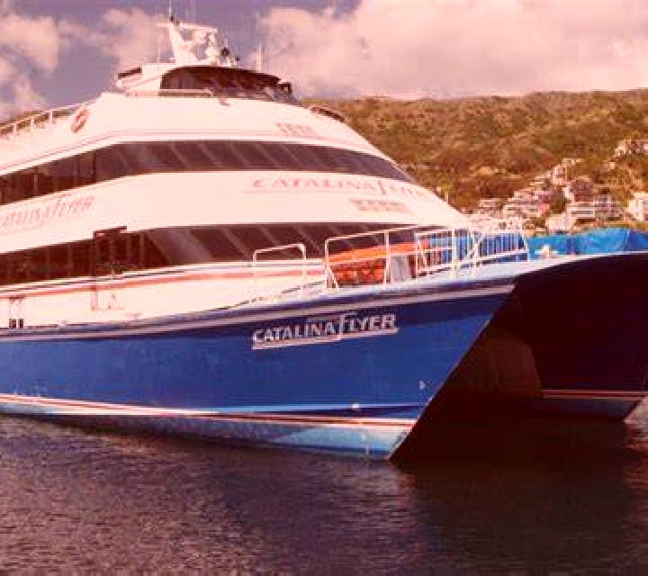 Catalina Fresia escort