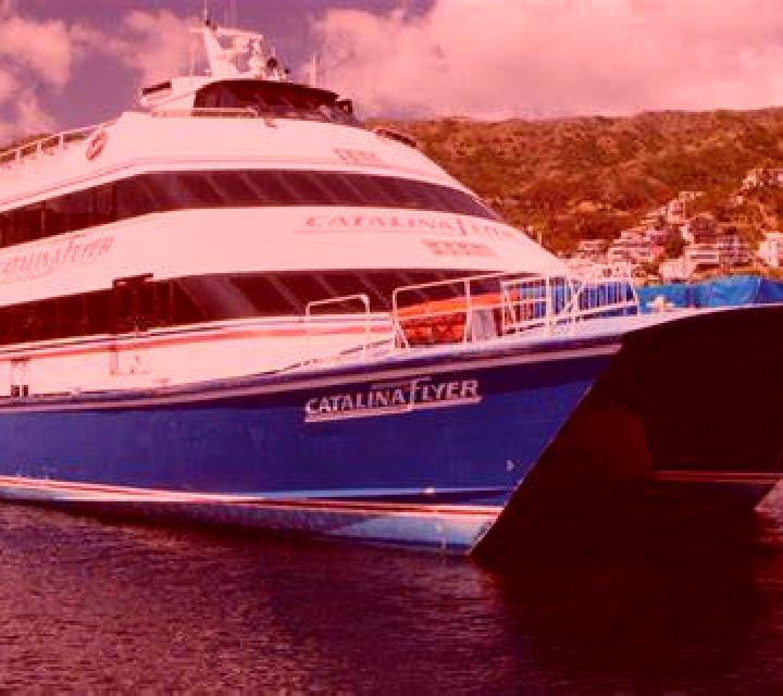 Catalina Illapel escort