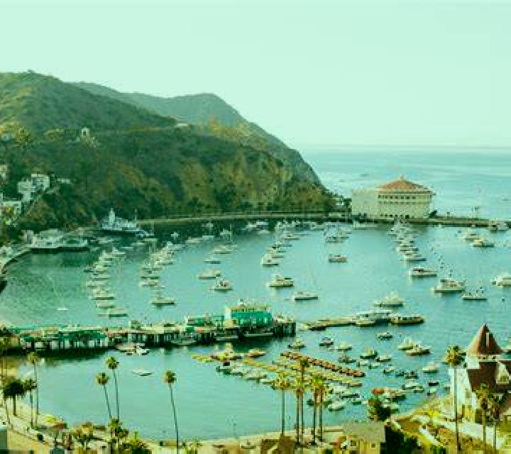 Catalina San Carlos escort