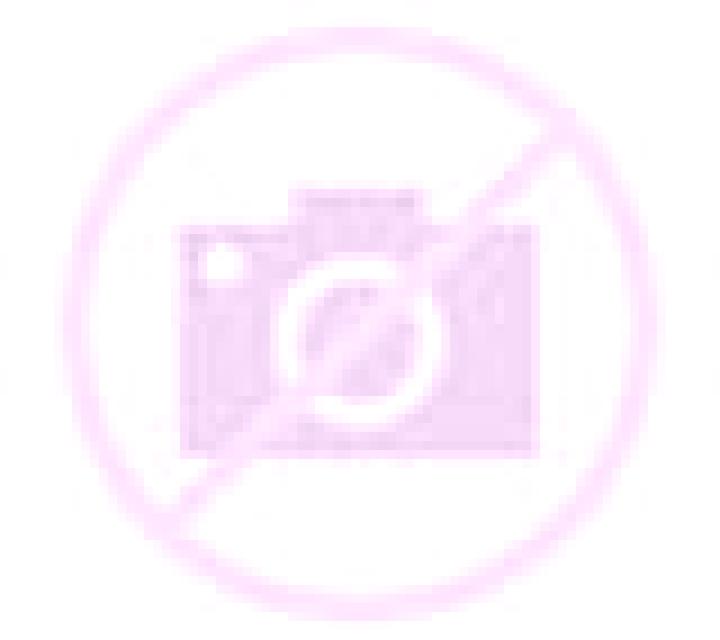 Cinthia 3 Canela escort