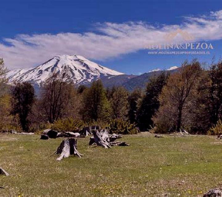 Constanza 2 Lonquimay escort