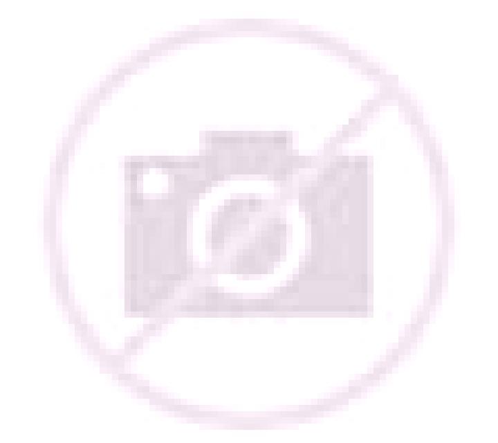 Cony 3 Futaleufu escort