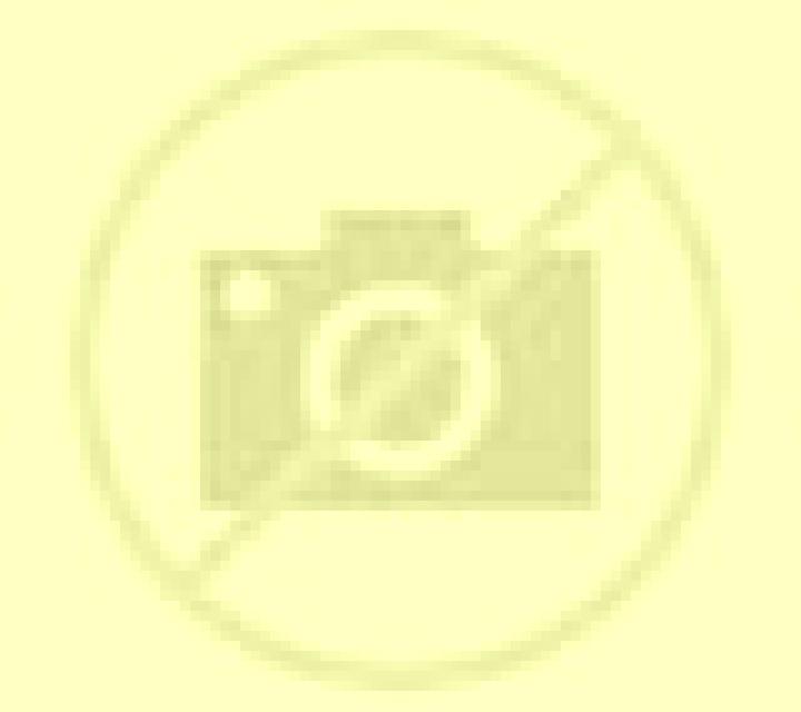 Cony 3 Papudo escort