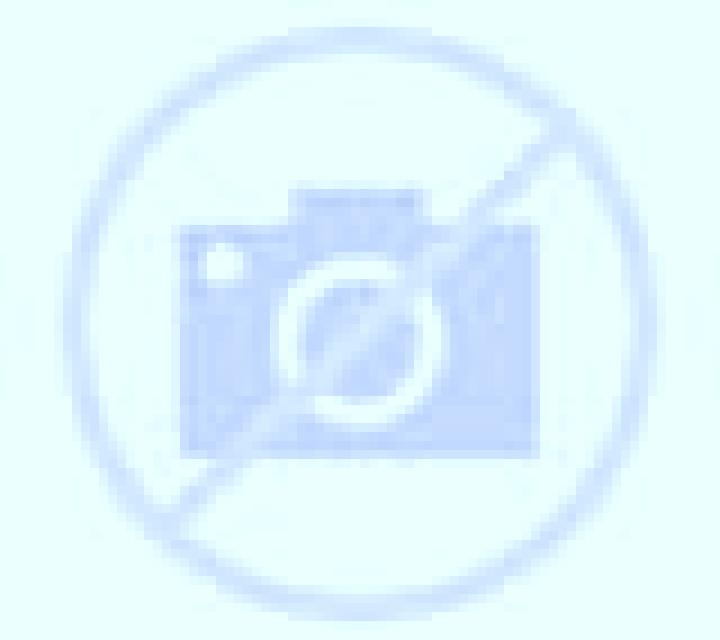 Cony Pichilemu escort