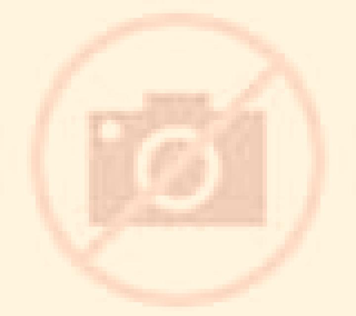 Daniela Concepcion escort