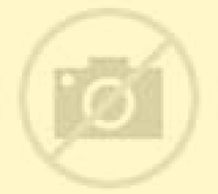 Estrella Cauquenes escort