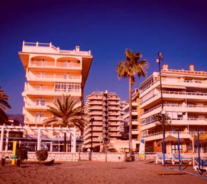 Fresia 2 Las Gaviotas escort