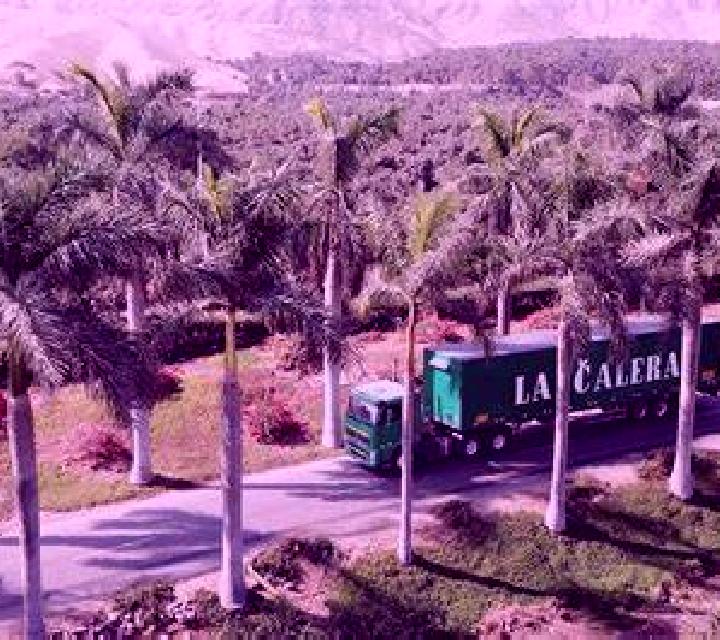 Gabriela Hacienda La Calera escort