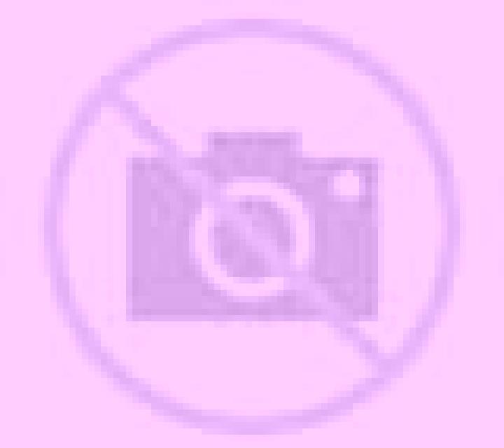 Isidora 2 Angol escort