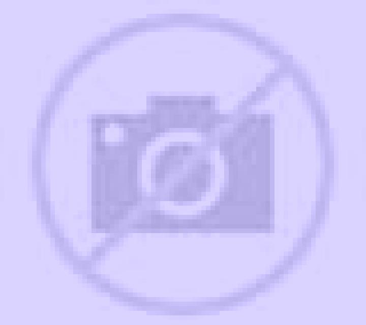 Javiera 3 Santa Juana escort