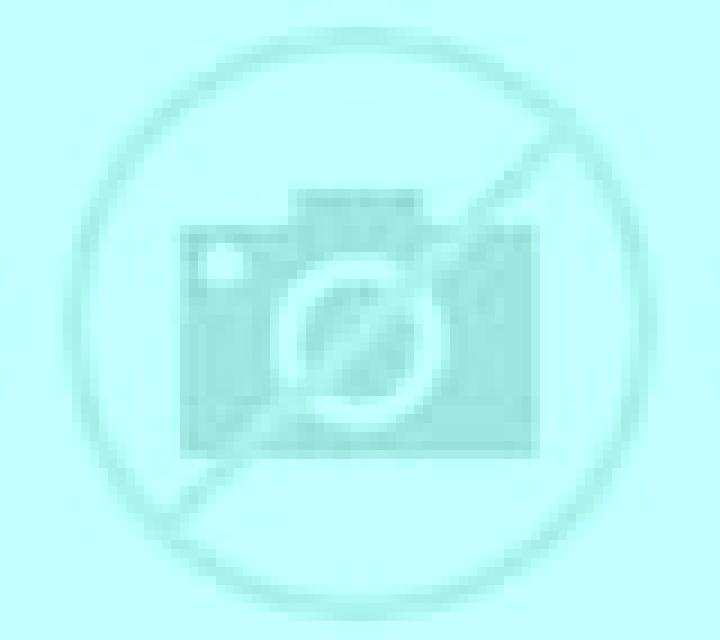 Nadia Chimbarongo escort