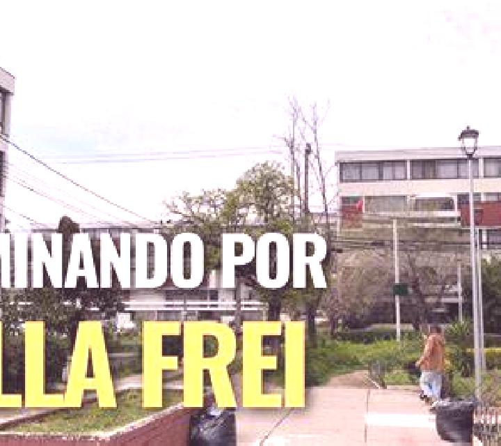 Paloma 2 Freire escort