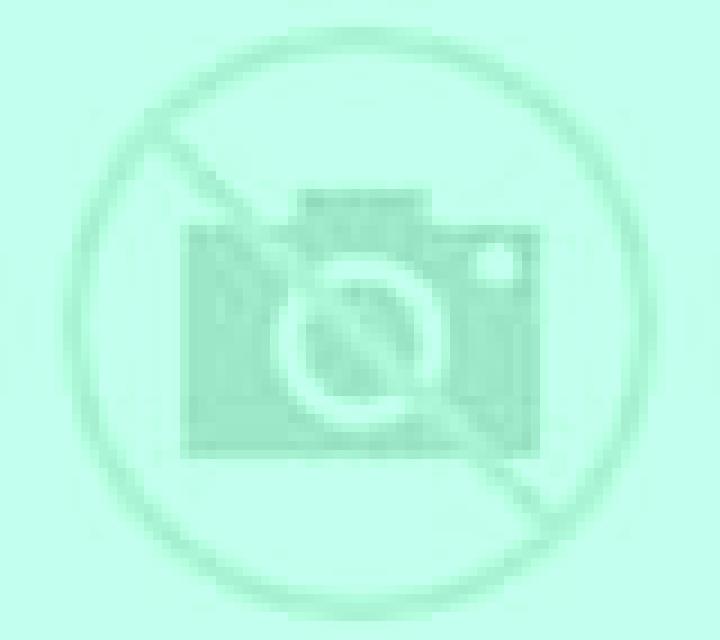 Paulina Vicuna escort