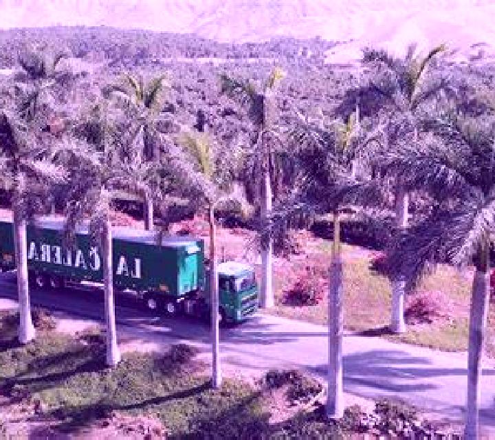 Salma 3 Hacienda La Calera escort