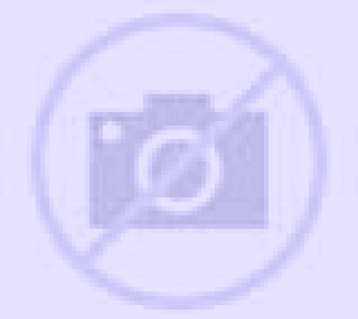 Ximena Papudo escort